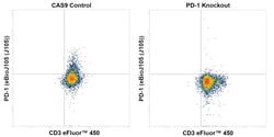 CD279 (PD-1) Monoclonal Antibody (eBioJ105 (J105)), PE, eBioscience , Invitrogen:Antibodies:Primary