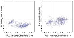 Invitrogen F(ab')2-Goat anti-Mouse IgG (H+L) Secondary Antibody, PE, eBioscience