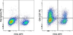 Rat IgG2a kappa Isotype Control (eBR2a), PE, eBioscience , Invitrogen:Antibodies:Isotype