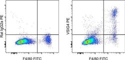 Rat IgG2a kappa Isotype Control (eBR2a), PE, eBioscience , Invitrogen:Antibodies:Isotype