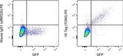 Mouse IgG2b kappa Isotype Control (eBMG2b), PE, eBioscience , Invitrogen:Antibodies:Isotype