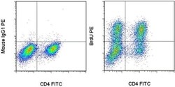 BrdU Monoclonal Antibody (BU20A), PE, eBioscience , Invitrogen:Antibodies:Primary