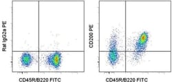 Invitrogen CD200 Monoclonal Antibody (OX90), PE, eBioscience 100 &mu;g;