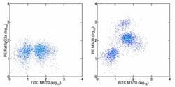 Invitrogen Galectin 3 Monoclonal Antibody (eBioM3/38 (M3/38)), PE, eBioscience
