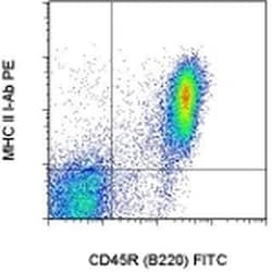 MHC Class II I-Ab Monoclonal Antibody (AF6-120.1), PE, eBioscience , Invitrogen