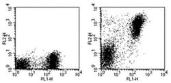 Invitrogen MHC Class II (I-A/I-E) Monoclonal Antibody (M5/114.15.2), PE,