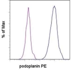 Invitrogen Podoplanin Monoclonal Antibody (eBio8.1.1 (8.1.1)), PE, eBioscience