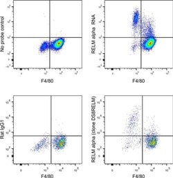 RELM alpha Monoclonal Antibody (DS8RELM), PE, eBioscience , Invitrogen:Antibodies:Primary