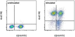 Ki-67 Monoclonal Antibody (SolA15), PE, eBioscience , Invitrogen:Antibodies:Primary