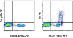 Invitrogen IgM Monoclonal Antibody (II/41), PE, eBioscience , Invitrogen