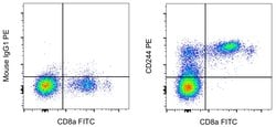 Invitrogen CD244 Monoclonal Antibody (eBioC1.7 (C1.7)), PE, eBioscience