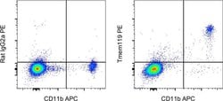 Invitrogen Tmem119 Monoclonal Antibody (V3RT1GOsz), PE, eBioscience , Invitrogen