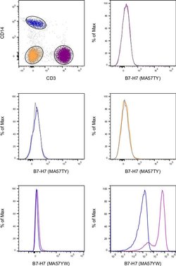 Invitrogen B7-H7 Monoclonal Antibody (MA57YW), PE-Cyanine7, eBioscience