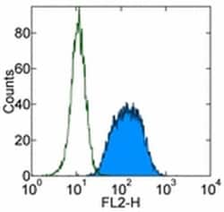 Invitrogen TCL1 Monoclonal Antibody (eBio1-21 (1-21)), PE, eBioscience