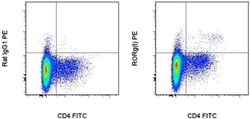 ROR gamma (t) Monoclonal Antibody (B2D), PE, eBioscience , Invitrogen:Antibodies:Primary