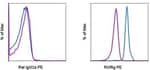 Thumbnail_Invitrogen ROR gamma (t) Monoclonal Antibody (AFKJS-9), PE, eBioscience