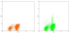 Invitrogen IL-4 Monoclonal Antibody (8D4-8), PE, eBioscience , Invitrogen