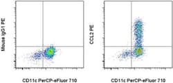 Invitrogen CCL2 (MCP-1) Monoclonal Antibody (5D3-F7), PE, eBioscience 25