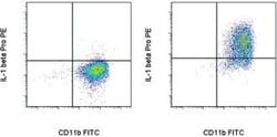 Invitrogen IL-1 beta (Pro-form) Monoclonal Antibody (NJTEN3), PE, eBioscience