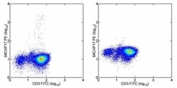 Invitrogen IL-17A Monoclonal Antibody (eBio64CAP17), PE, eBioscience ,