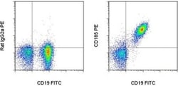 Invitrogen CD185 (CXCR5) Monoclonal Antibody (SPRCL5), PE, eBioscience