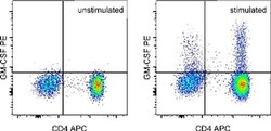 Invitrogen GM-CSF Monoclonal Antibody (DAVKAT), PE, eBioscience , Invitrogen