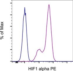 HIF-1 alpha Monoclonal Antibody (Mgc3), PE, eBioscience:Antibodies, Monoclonal