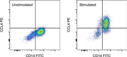 CCL4 (MIP-1 beta) Monoclonal Antibody (FL34Z3L), PE, eBioscience , Invitrogen:Antibodies:Primary