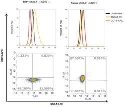 Invitrogen SSEA1 Monoclonal Antibody (eBioMC-480 (MC-480)), PE, eBioscience:Antibodies:Primary