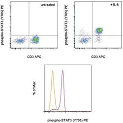 Phospho-STAT3 (Tyr705) Monoclonal Antibody (LUVNKLA), PE, eBioscience ,