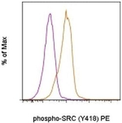 Invitrogen Phospho-SRC (Tyr418) Monoclonal Antibody (SC1T2M3), PE, eBioscience