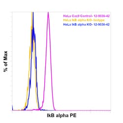 IkB alpha Monoclonal Antibody (MFRDTRK), PE, eBioscience , Invitrogen:Antibodies:Primary