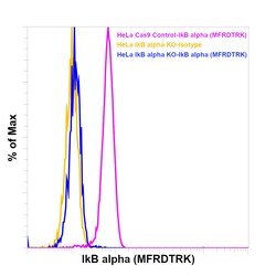 IkB alpha Monoclonal Antibody (MFRDTRK), PE, eBioscience , Invitrogen:Antibodies:Primary