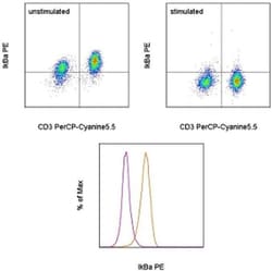 IkB alpha Monoclonal Antibody (MFRDTRK), PE, eBioscience , Invitrogen:Antibodies:Primary