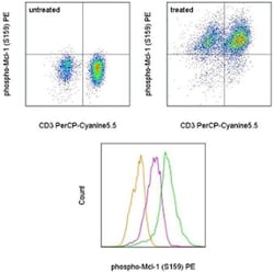 Invitrogen Phospho-MCL-1 (Ser159) Monoclonal Antibody (RBCERNR), PE, eBioscience:Antibodies:Primary