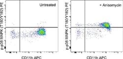 Phospho-p38 MAPK (Thr180, Tyr182) Monoclonal Antibody (4NIT4KK), PE, eBioscience&trade;, Invitrogen&trade;