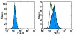 Invitrogen CD289 (TLR9) Monoclonal Antibody (eB72-1665), PE, eBioscience