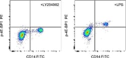 Invitrogen&trade;&nbsp;Phospho-4EBP1 (Thr36, Thr45) Monoclonal Antibody (V3NTY24), PE, eBioscience&trade;, Invitrogen&trade;