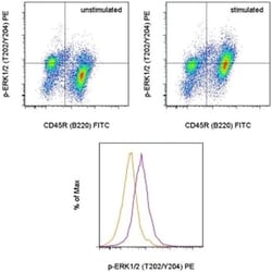 Phospho-ERK1/2 (Thr202, Tyr204) Monoclonal Antibody (MILAN8R), PE, eBioscience