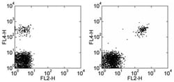 CD268 (BAFF Receptor) Monoclonal Antibody (8A7), PE, eBioscience:Antibodies,