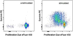 Invitrogen Survivin Monoclonal Antibody (STLALYV), PE, eBioscience:Antibodies:Primary