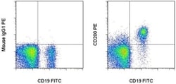CD200 Monoclonal Antibody (OX104), PE, eBioscience:Antibodies:Primary Antibodies