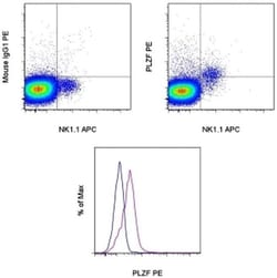 Invitrogen PLZF Monoclonal Antibody (Mags.21F7), PE, eBioscience , Invitrogen