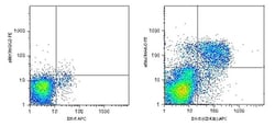 Invitrogen Perforin Monoclonal Antibody (eBioOMAK-D), PE, eBioscience ,