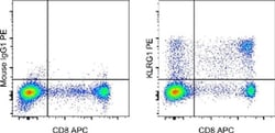 Invitrogen KLRG1 Monoclonal Antibody (13A2), PE, eBioscience:Antibodies:Primary