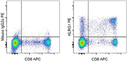 Invitrogen KLRG1 Monoclonal Antibody (13F12F2), PE, eBioscience:Antibodies:Primary
