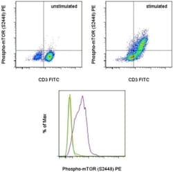 Phospho-mTOR (Ser2448) Monoclonal Antibody (MRRBY), PE, eBioscience , Invitrogen:Antibodies:Primary