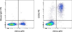 Invitrogen COX2 Monoclonal Antibody (COX 229), PE, eBioscience , Invitrogen