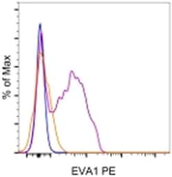Invitrogen EVA1 Monoclonal Antibody (G9P3-1), PE, eBioscience:Antibodies:Primary