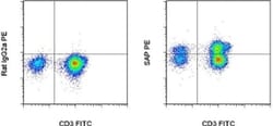 SAP (SLAM-Associated Protein) Monoclonal Antibody (XLP-1D12), PE, eBioscience